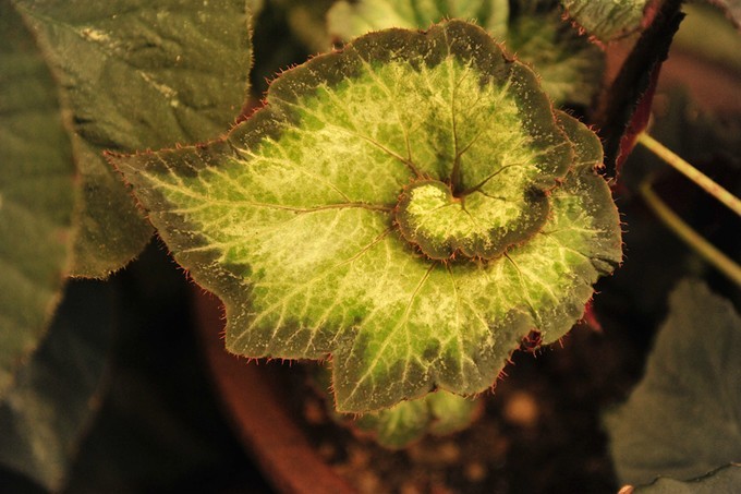 人文摄影斯里兰卡,锡兰风景