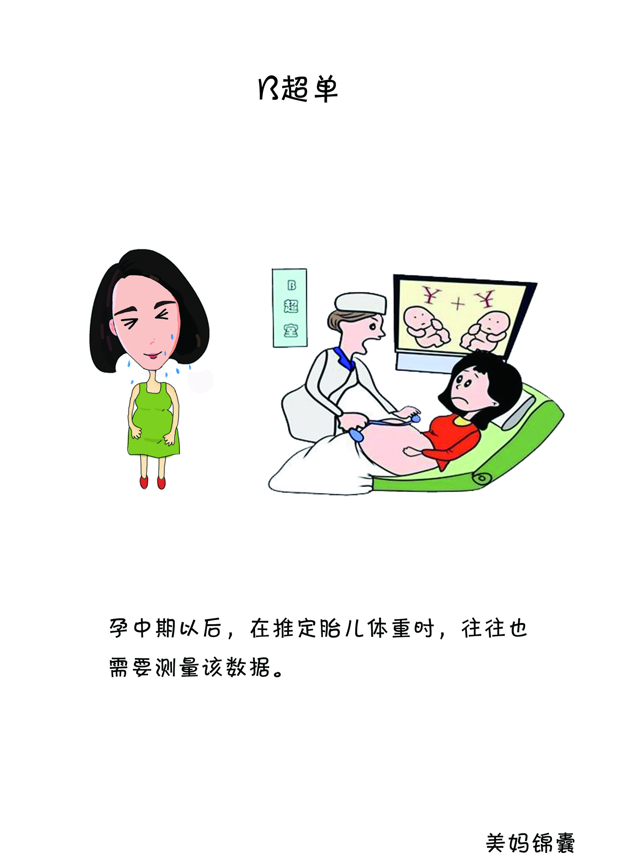 如何看b超单双肾图像,如何看b超单图像是圆形还是长形