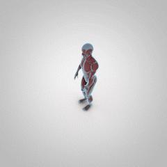 臀部训练需要掌握的细节,马华健美5分钟臀部训练