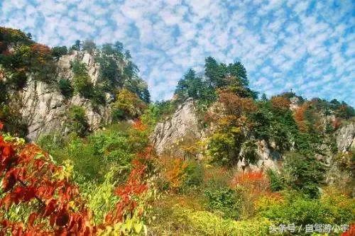 河南省赏红叶一日游,河南省秋天红叶最佳去处