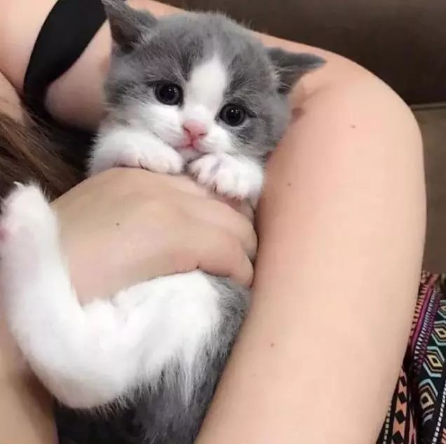 “如果被萌坏了,我帮你叫110救护车!”