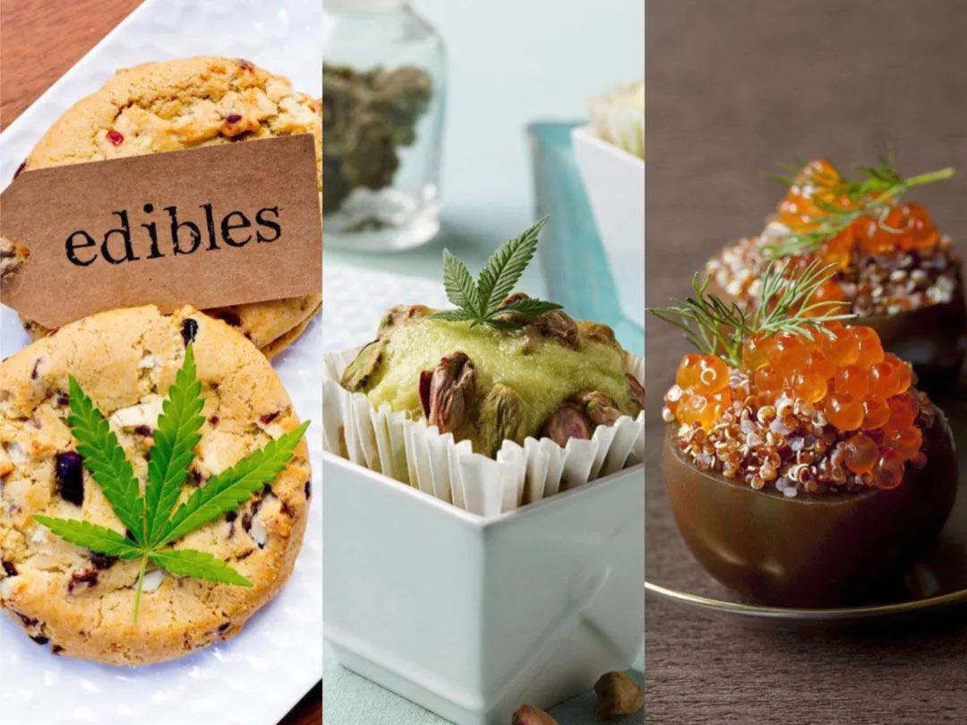 求生欲极强的几个问题,求生欲小技巧