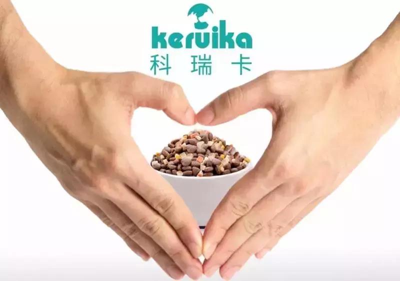 比格犬都是实验犬吗,比格犬知道家吗