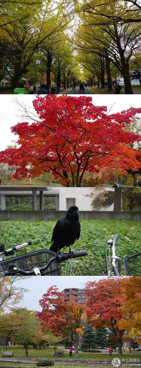 日本旅游要看账户流水不,日本旅行换钱攻略