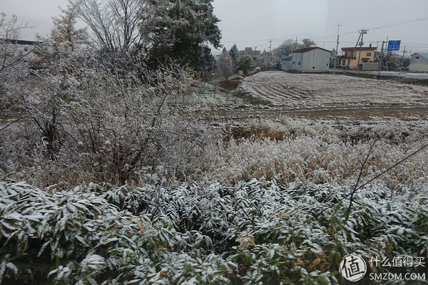 日本旅游签证流水账单,日本旅游要看账户流水不