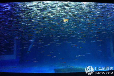 日本旅游要看账户流水不,日本旅行换钱攻略