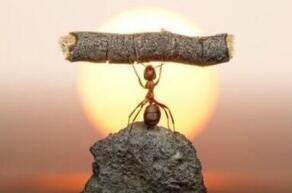 京媒怒批国足完整版,京媒谈中国足球