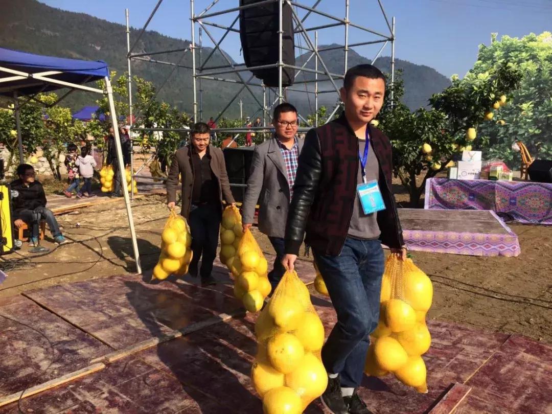宣恩县县长宣传贡水白柚,恩施宣恩贡水白柚