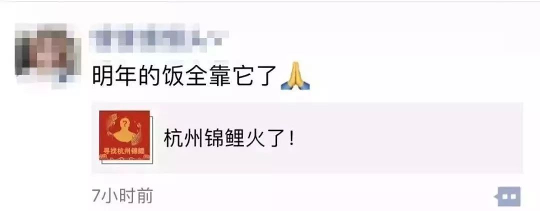 锦鲤活动为什么不能参加,锦鲤活动特权