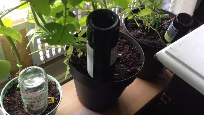 3刀切9块橙子,橙子小妙招花式系鞋带