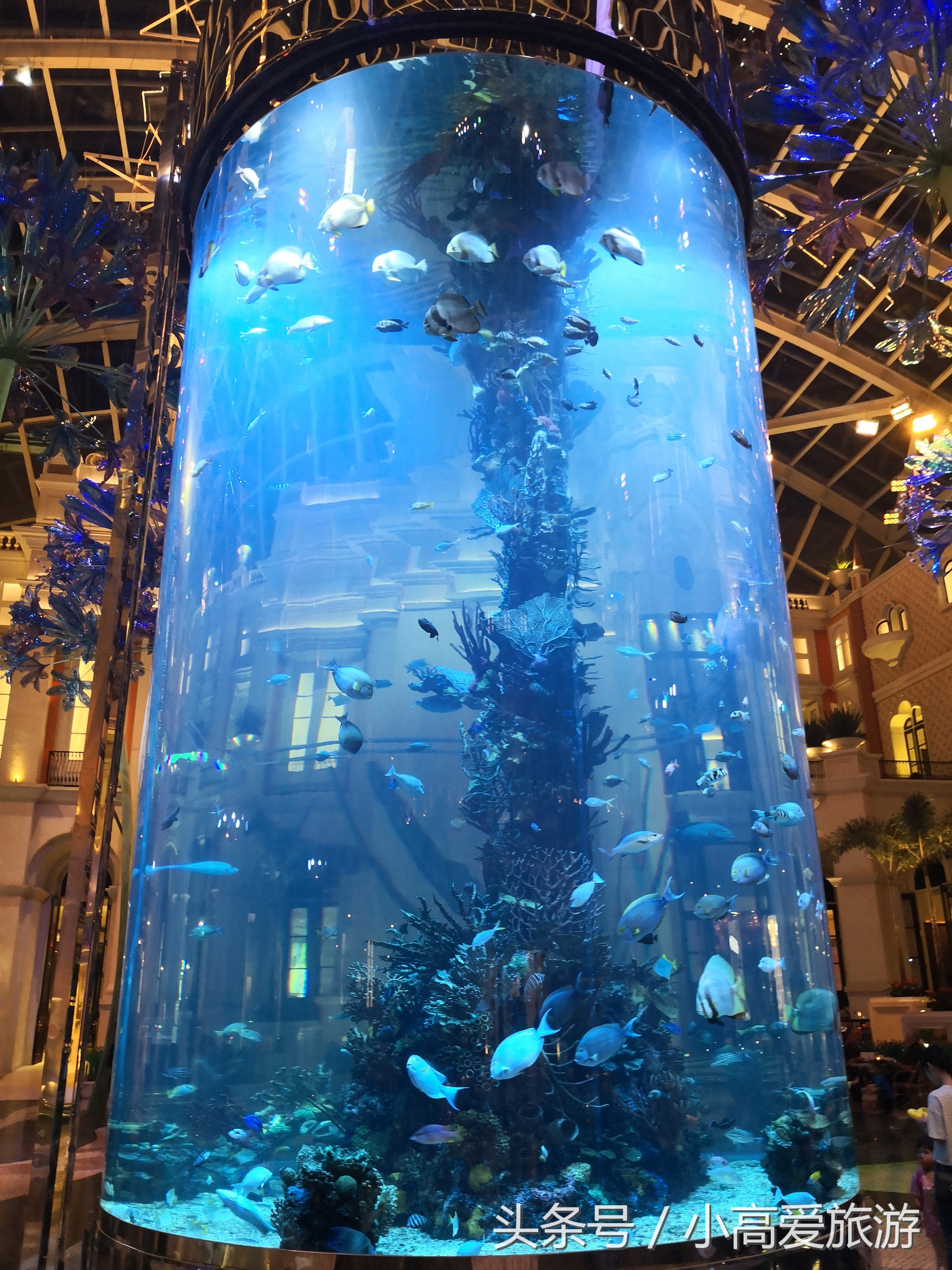 香港澳门七天自助游最佳路线,香港澳门七日旅游线路