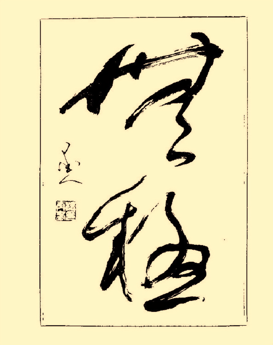 杨再春行书入门如何选择字帖,杨再春行草书法字帖网上售的