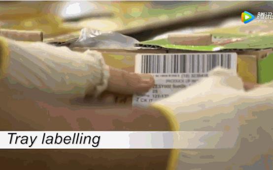 新西兰小岛国,是如何将一个猕猴桃送上水果行业的“神坛”