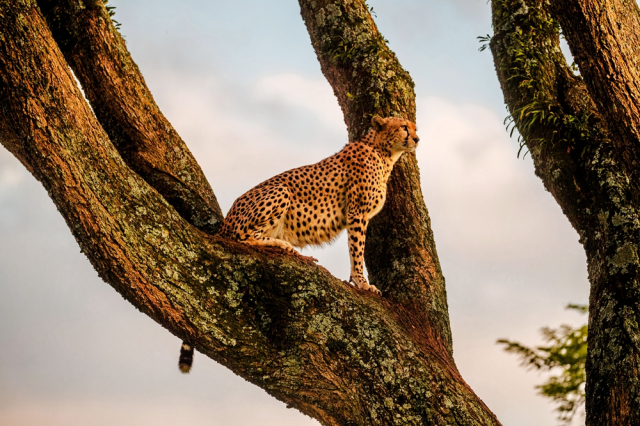 去非洲旅行，如何寻找拍摄题材？