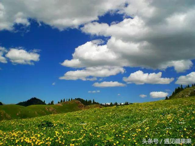 伊犁最美旅游风景区,伊犁旅游攻略探索最美风光