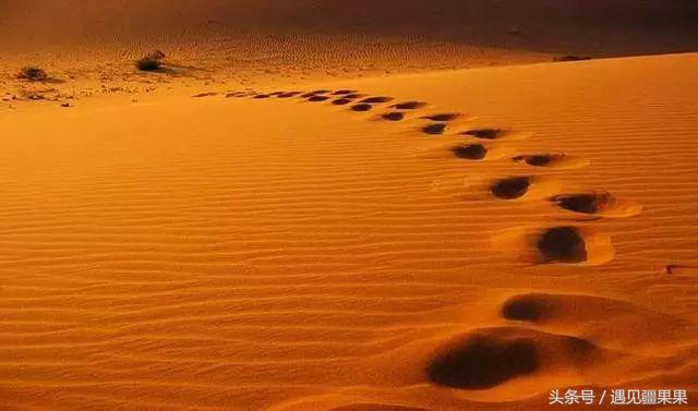 伊犁最美旅游风景区,伊犁旅游攻略探索最美风光