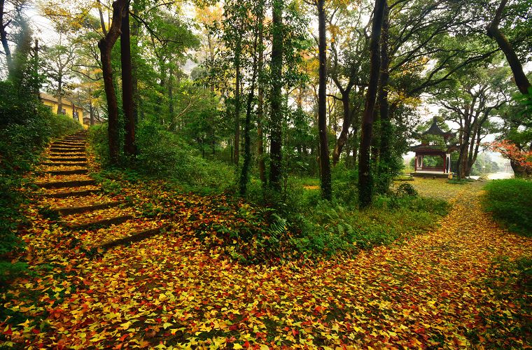北仑适合夏天爬的山,北仑冬季爬山的地方有哪些