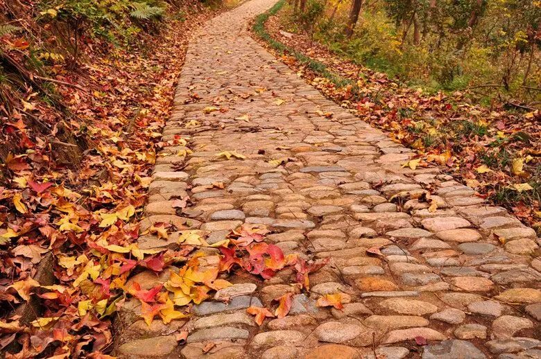 北仑适合夏天爬的山,北仑冬季爬山的地方有哪些