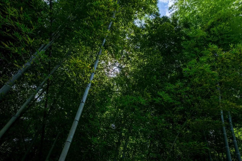 北仑十大爬山景点,北仑免费爬的山有哪些景区