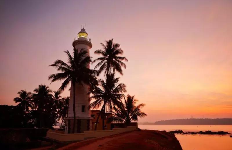 唐嫣罗晋维也纳结婚请帖地点,喜糖糖结婚