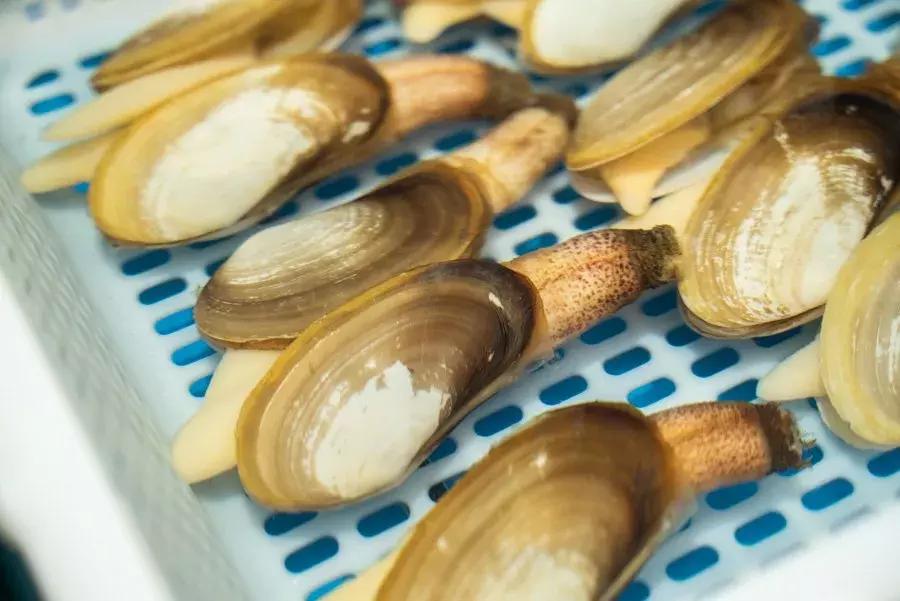 逛水族馆满脑子都是海鲜,水族馆里的海鲜