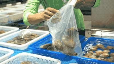 逛水族馆满脑子都是海鲜,水族馆里的海鲜