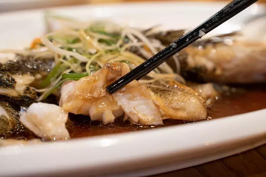 逛水族馆满脑子都是海鲜,水族馆里的海鲜