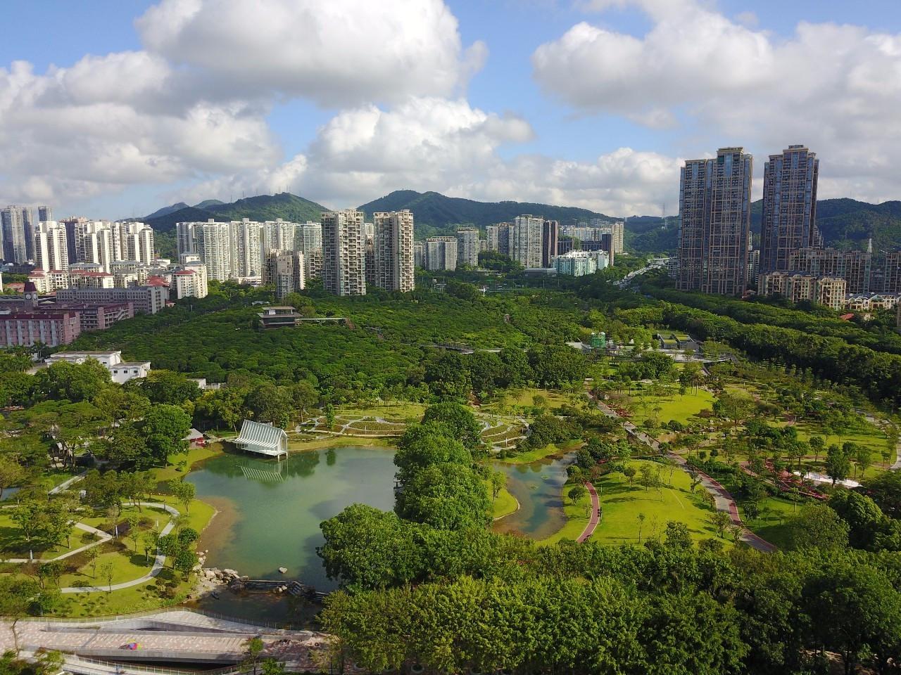 深圳周边遛娃免费地点推荐,深圳南山遛娃好去处