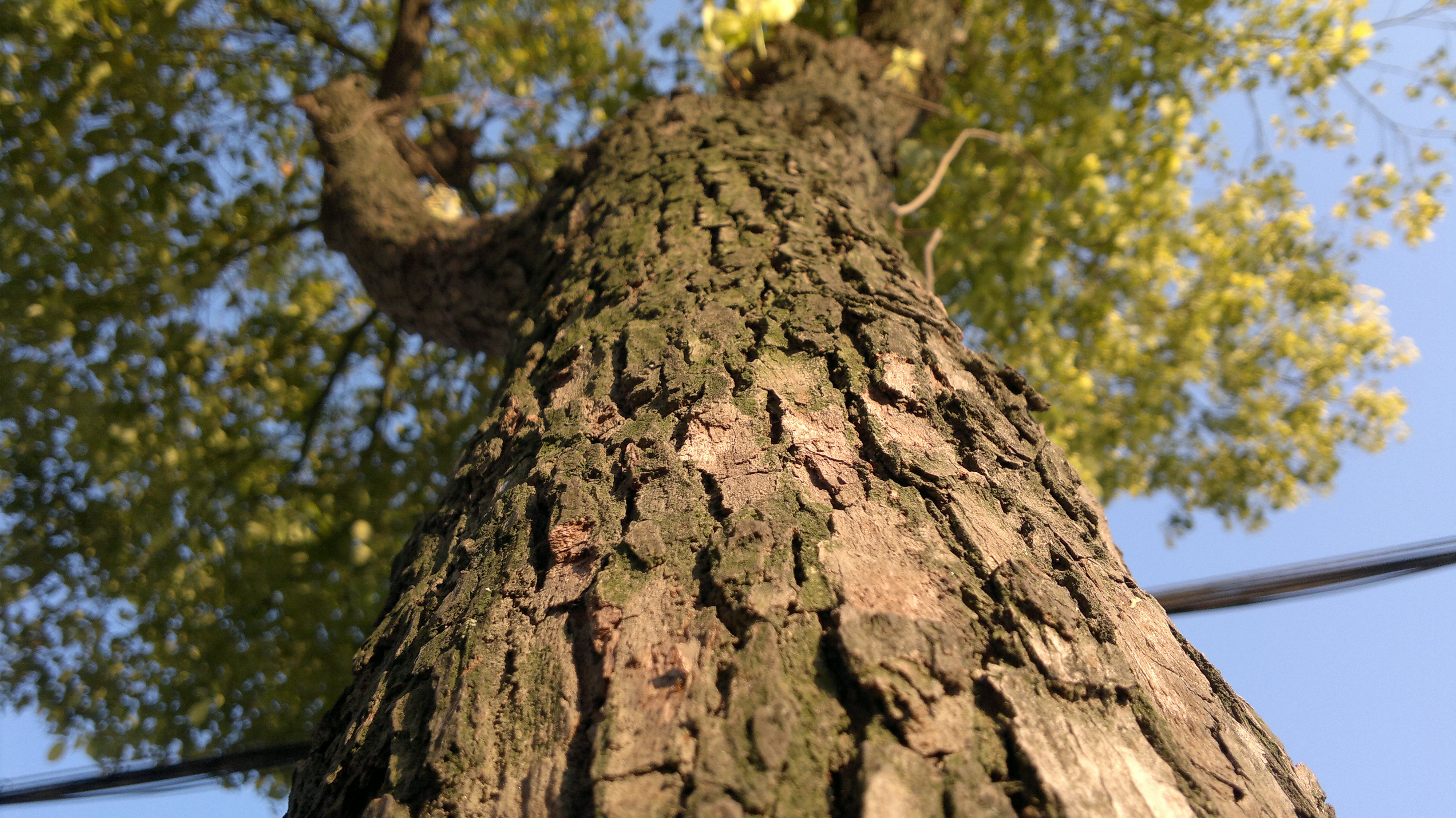 小米mix3用两年卡吗,小米mix3还值得换屏吗