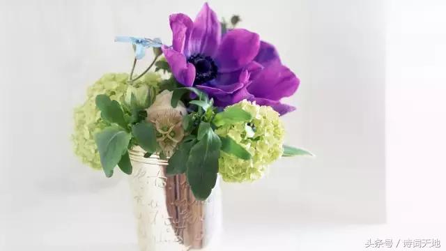 亦舒情感语录大全集,亦舒经典语录甜言蜜语