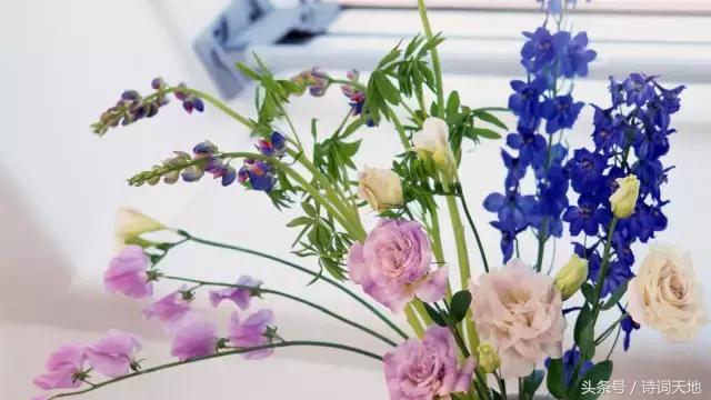 亦舒情感语录大全集,亦舒经典语录甜言蜜语