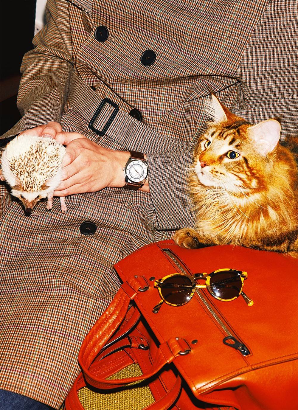 1到50万左右腕表推荐,价位1000-3000的腕表