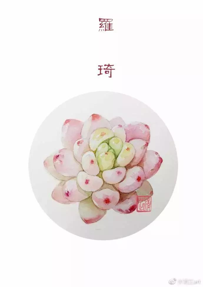 多肉上色真正的原因,多肉上色的变化