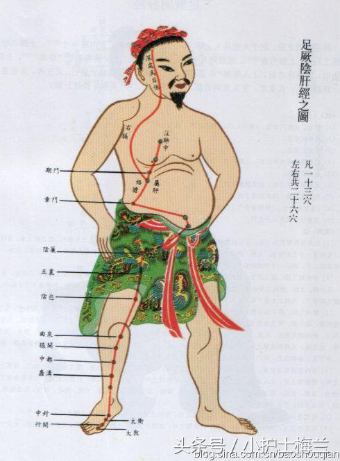 任督二脉功法图,真气打通任督二脉图解