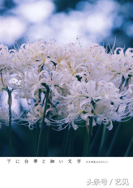 怎么制作出海报式封面,如何做超长版海报