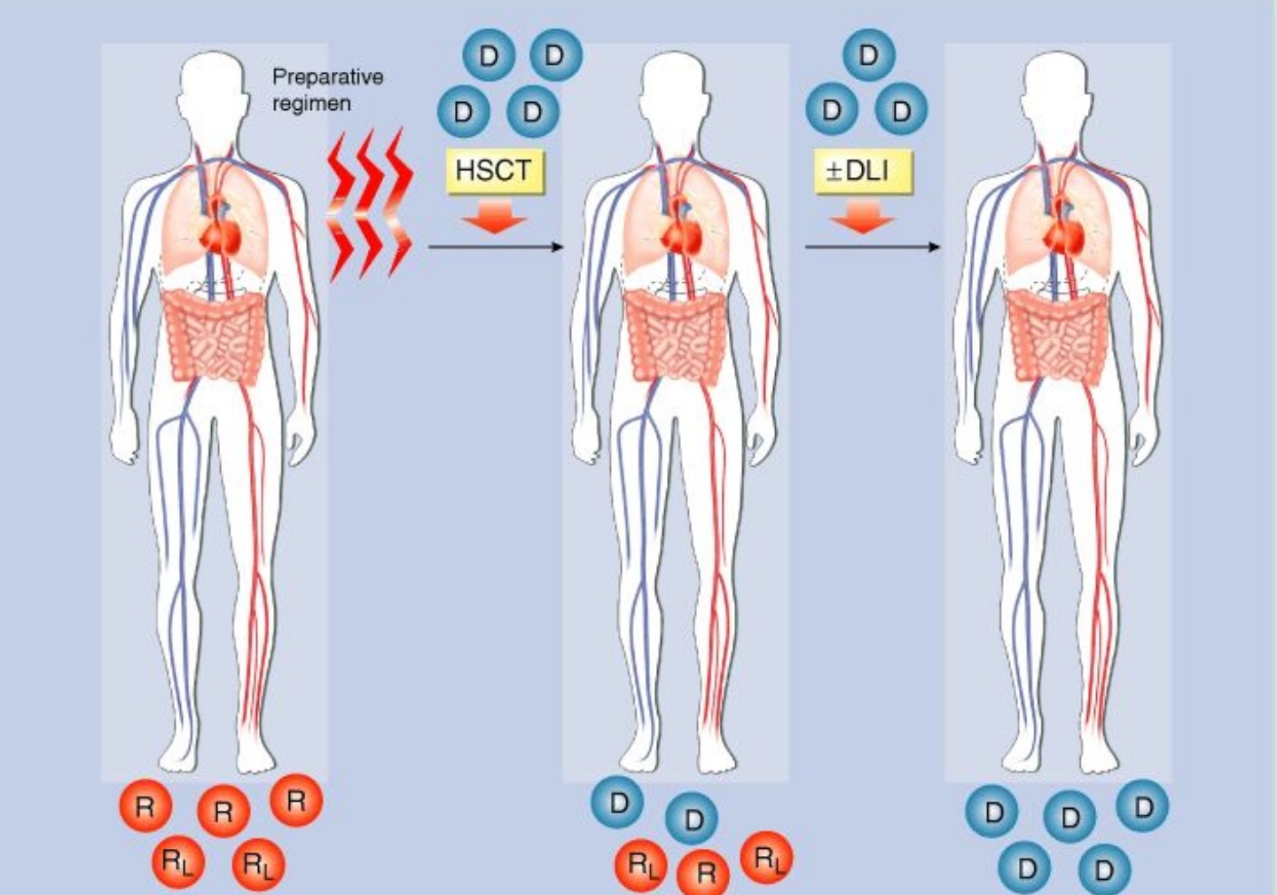 美国转基因研究成功了吗,美国转基因学术数据造假