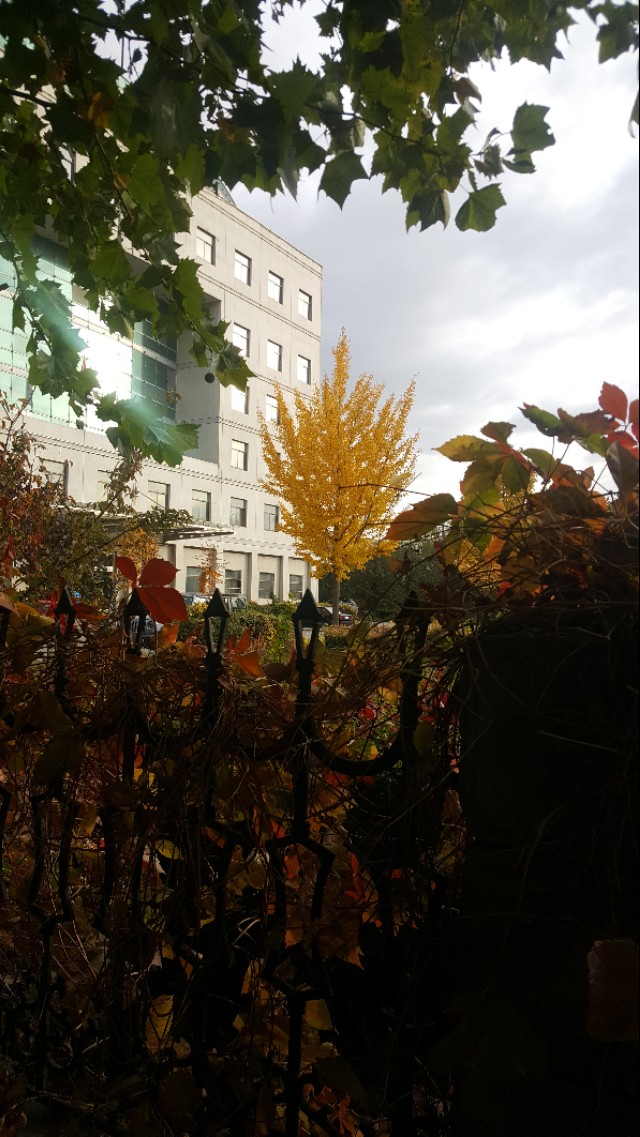 华为mate20pro现在还能买吗,华为mate20pro还可以入手吗