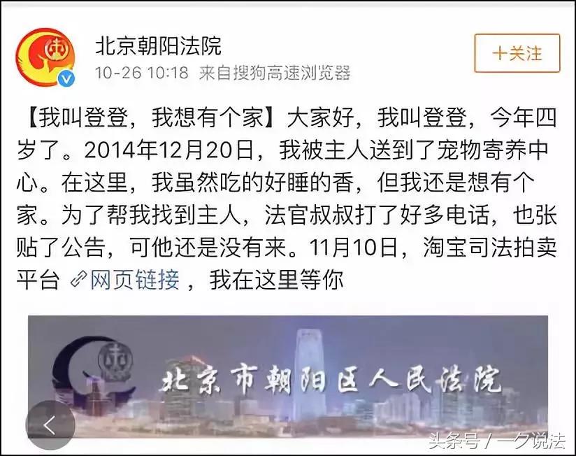 法院拍卖柴犬,司法拍卖柴犬最新消息