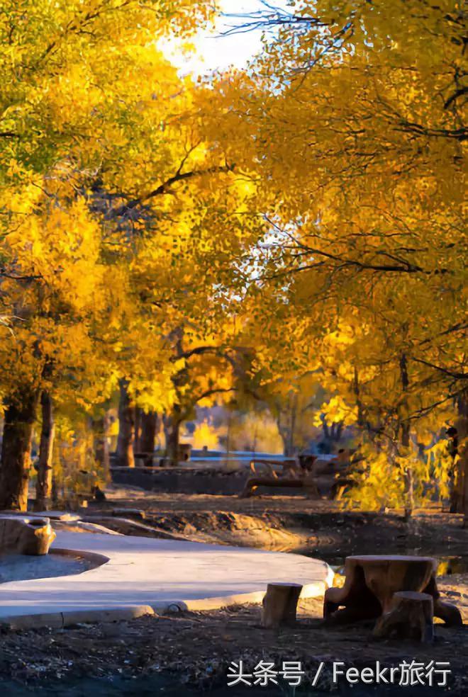 走进博物馆了解中国历史,深入吴哥探索千年之谜