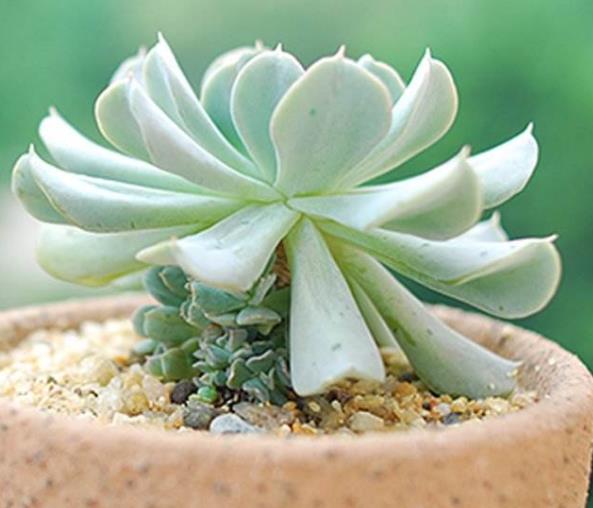 财运正旺不宜做的事,想财运旺记住这几件事