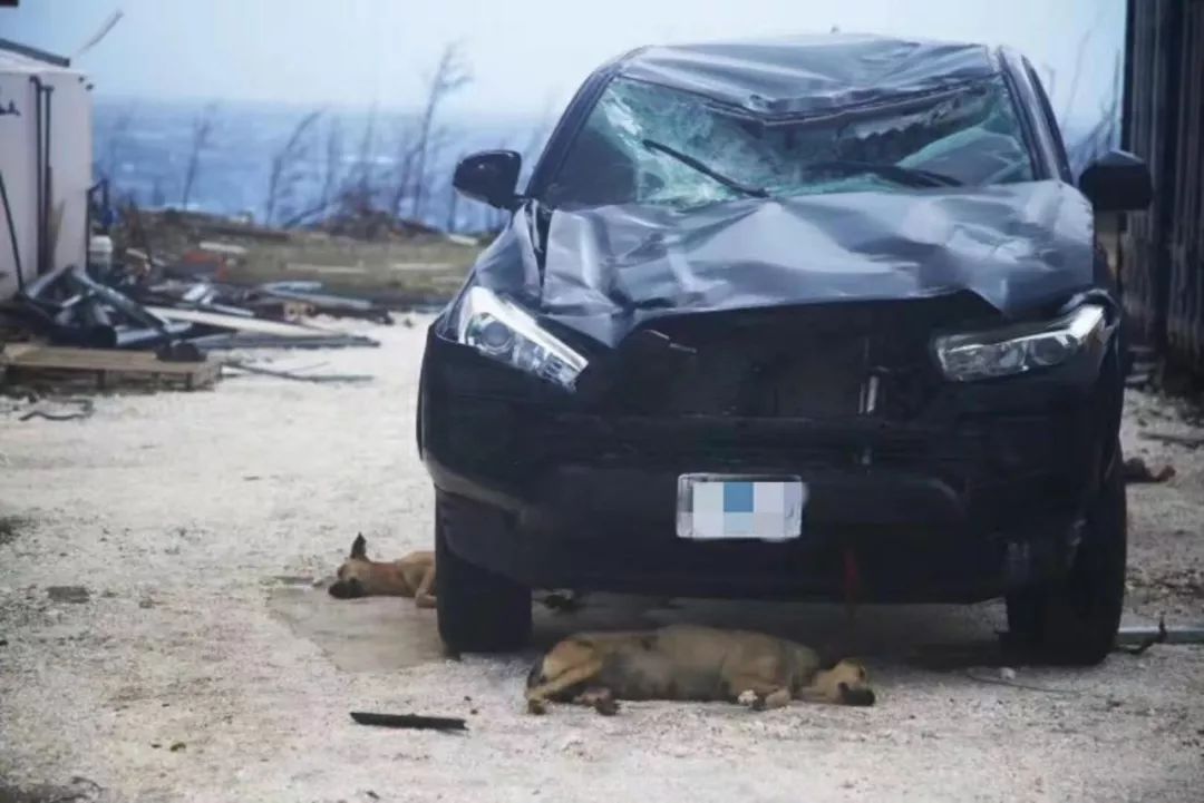 “孤岛”塞班:1500名中国旅客的72小时