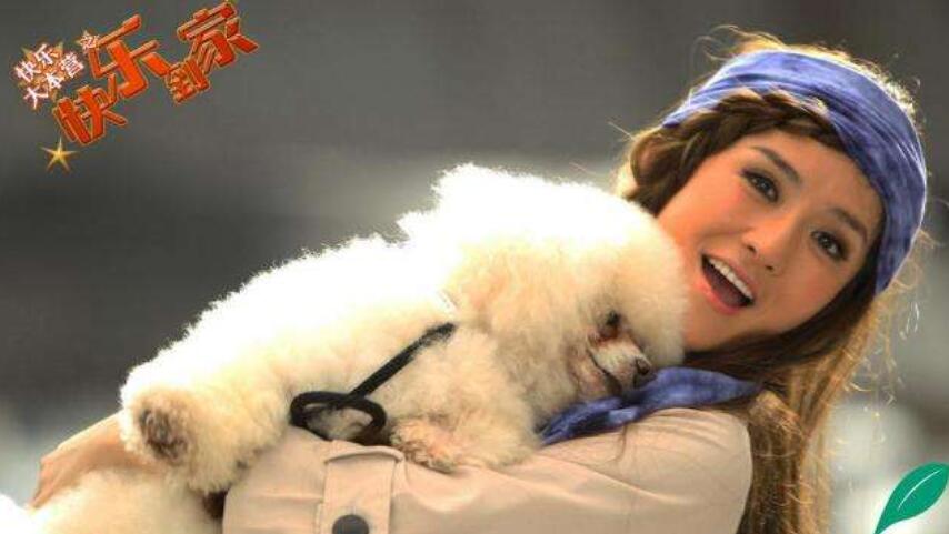 我就是演员谢娜芳华章子怡点评,我是演员谢娜演芳华视频