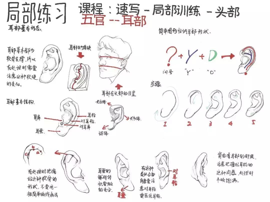 联考美术生为什么越画越难,临近美术联考该如何安排时间