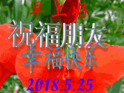 清晨早上好问候祝福动态表情图片,早上最打动人心的问候动态图片