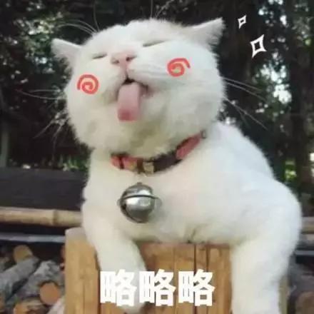 为什么只有招财猫没有狗,为什么招财猫有日文