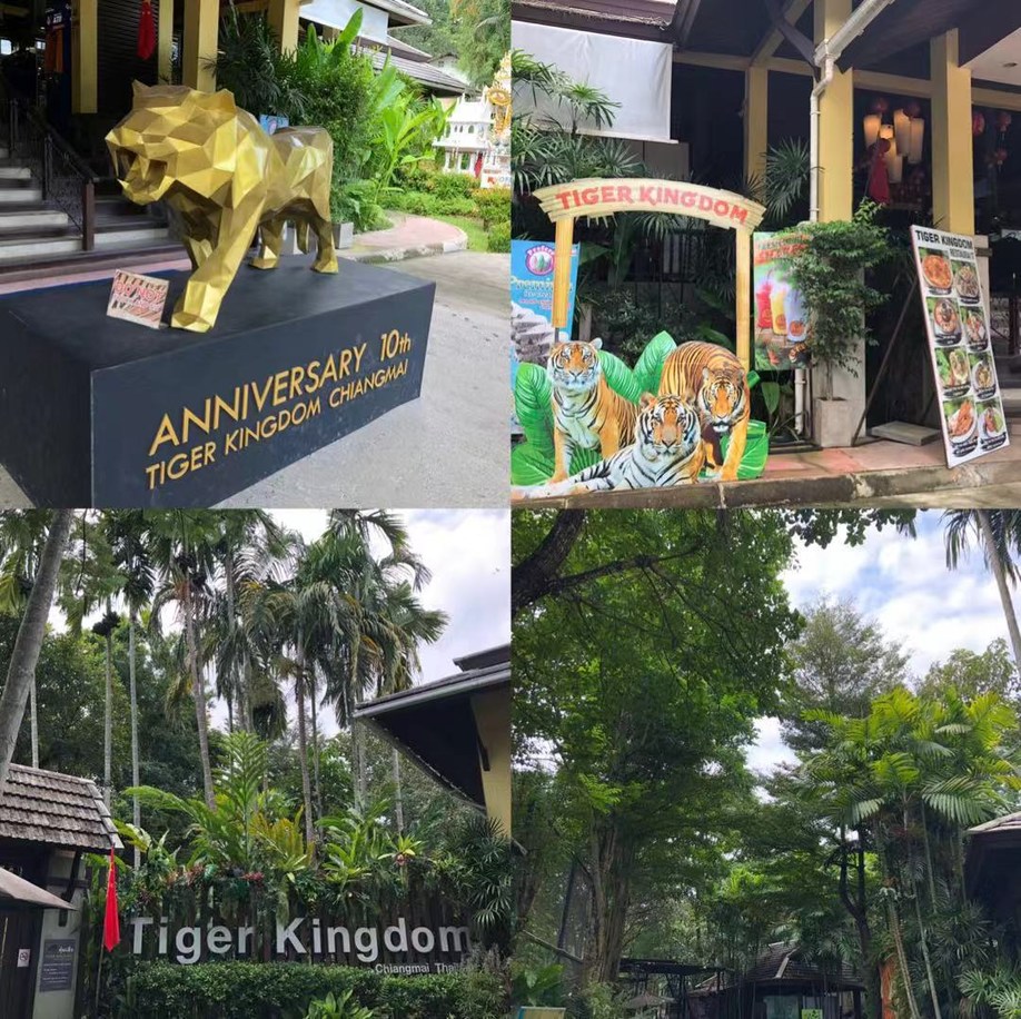 长发美美Sia丫丫带你游遍纸醉金迷曼谷小清新清迈