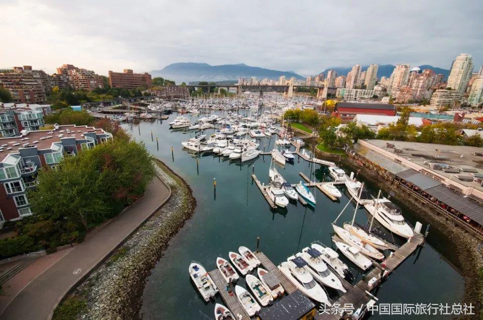 看我72变百变字母秀,看我72变改编