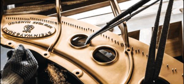 进口博览会时间和地点,进口博览会参观全攻略