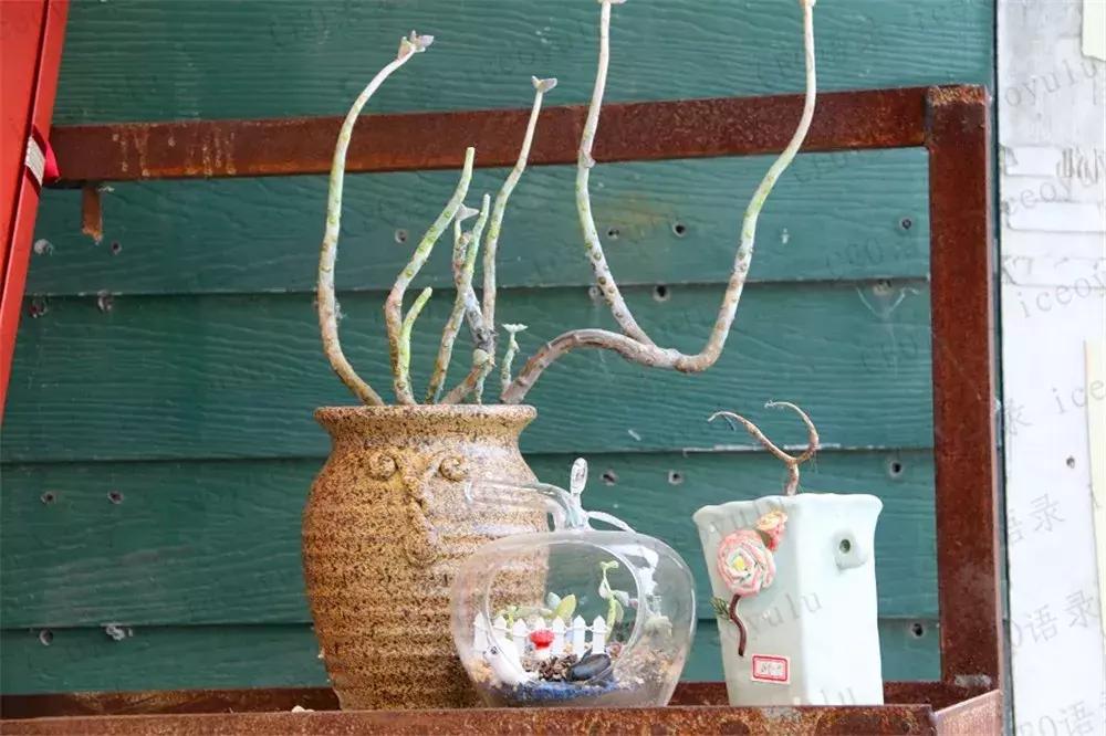 当你一无所有的时候谁会帮你,当你一无所有的时候歌曲