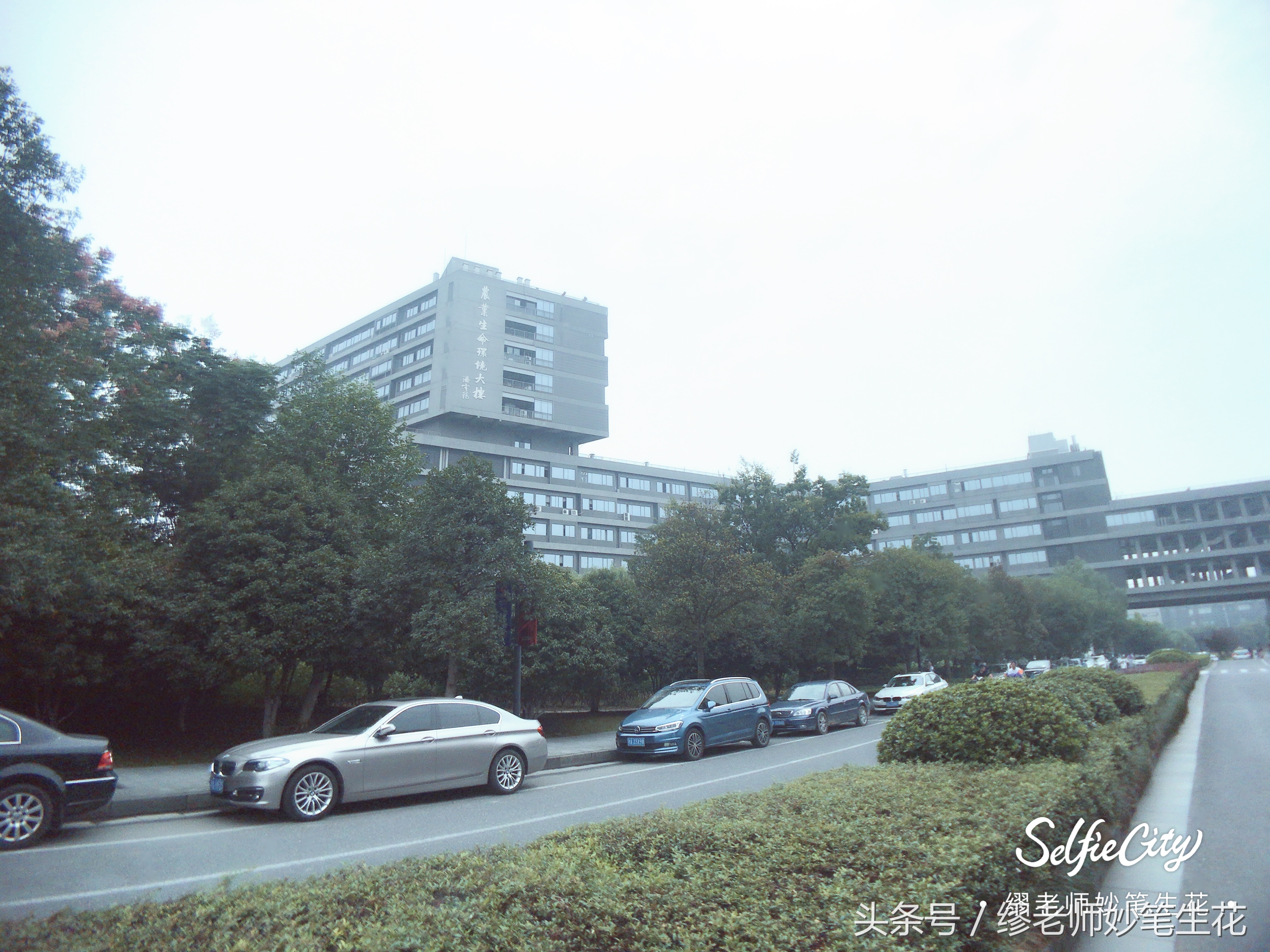 信息管理与信息系统专业不行了吗,信息管理与信息系统是个烂专业吗